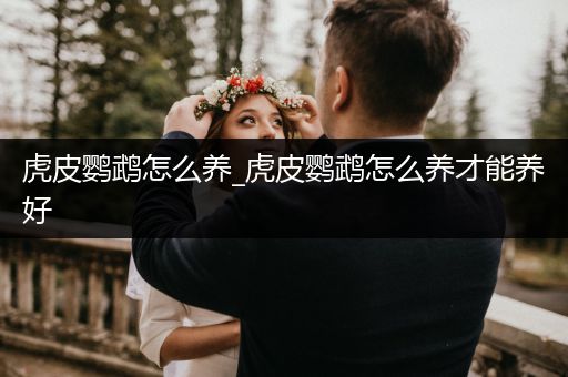 虎皮鸚鵡怎么養(yǎng)_虎皮鸚鵡怎么養(yǎng)才能養(yǎng)好