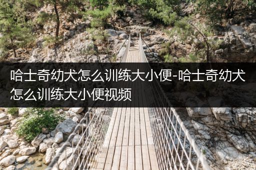 哈士奇幼犬怎么訓(xùn)練大小便-哈士奇幼犬怎么訓(xùn)練大小便視頻