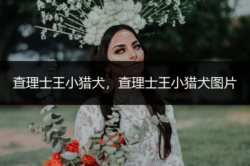 查理士王小獵犬，查理士王小獵犬圖片