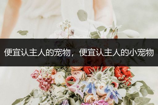 便宜認(rèn)主人的寵物，便宜認(rèn)主人的小寵物