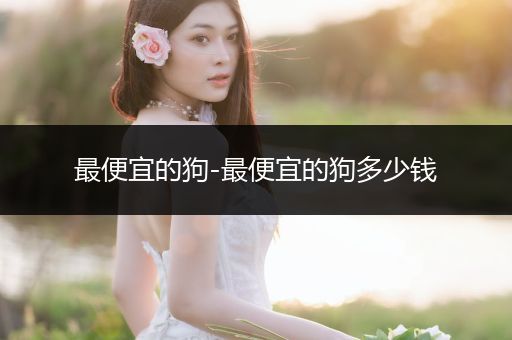最便宜的狗-最便宜的狗多少錢