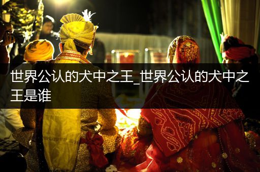 世界公認(rèn)的犬中之王_世界公認(rèn)的犬中之王是誰