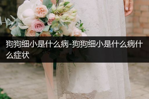 狗狗細(xì)小是什么病-狗狗細(xì)小是什么病什么癥狀