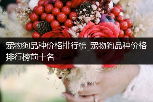 寵物狗品種價(jià)格排行榜_寵物狗品種價(jià)格排行榜前十名