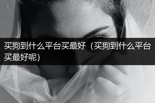 買狗到什么平臺買最好（買狗到什么平臺買最好呢）
