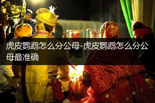 虎皮鸚鵡怎么分公母-虎皮鸚鵡怎么分公母最準(zhǔn)確