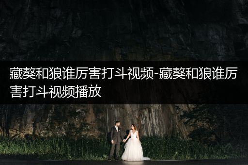 藏獒和狼誰(shuí)厲害打斗視頻-藏獒和狼誰(shuí)厲害打斗視頻播放