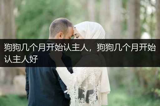狗狗幾個(gè)月開始認(rèn)主人，狗狗幾個(gè)月開始認(rèn)主人好