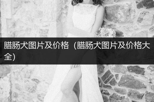 臘腸犬圖片及價(jià)格（臘腸犬圖片及價(jià)格大全）