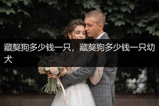 藏獒狗多少錢一只，藏獒狗多少錢一只幼犬