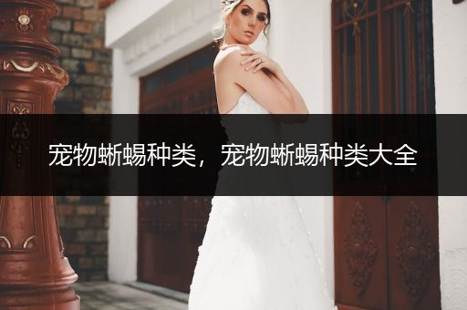 寵物蜥蜴種類，寵物蜥蜴種類大全