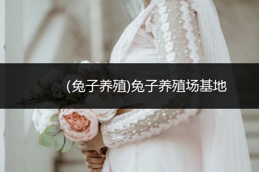 （兔子養(yǎng)殖)兔子養(yǎng)殖場(chǎng)基地