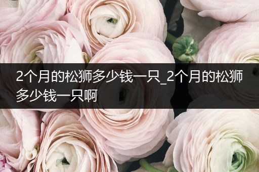 2個(gè)月的松獅多少錢一只_2個(gè)月的松獅多少錢一只啊