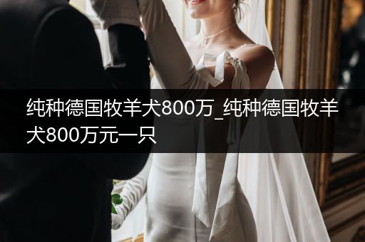 純種德國牧羊犬800萬_純種德國牧羊犬800萬元一只