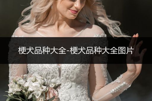 梗犬品種大全-梗犬品種大全圖片