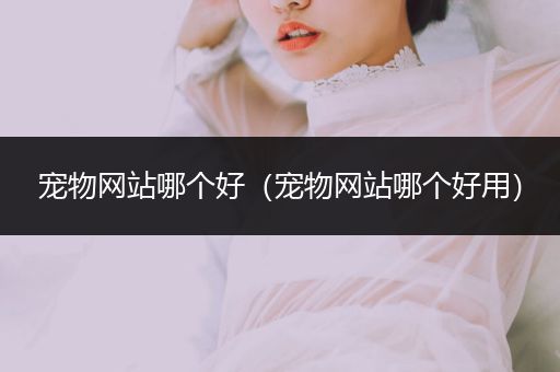寵物網(wǎng)站哪個(gè)好（寵物網(wǎng)站哪個(gè)好用）