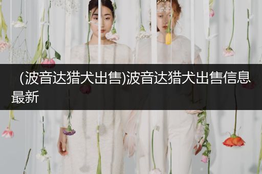 （波音達(dá)獵犬出售)波音達(dá)獵犬出售信息最新