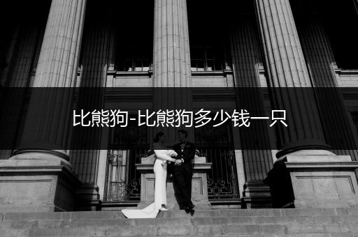 比熊狗-比熊狗多少錢一只