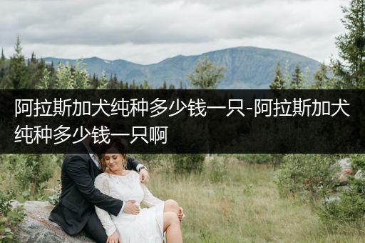 阿拉斯加犬純種多少錢一只-阿拉斯加犬純種多少錢一只啊