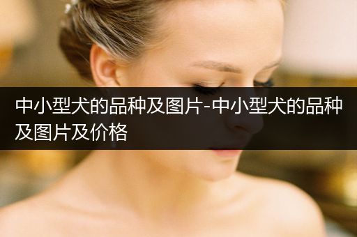 中小型犬的品種及圖片-中小型犬的品種及圖片及價格