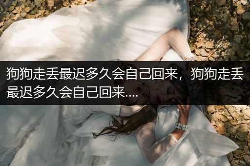 狗狗走丟最遲多久會自己回來，狗狗走丟最遲多久會自己回來....