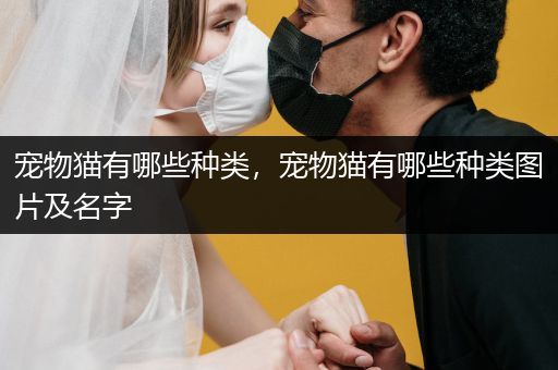 寵物貓有哪些種類，寵物貓有哪些種類圖片及名字