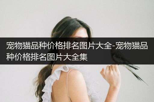 寵物貓品種價格排名圖片大全-寵物貓品種價格排名圖片大全集