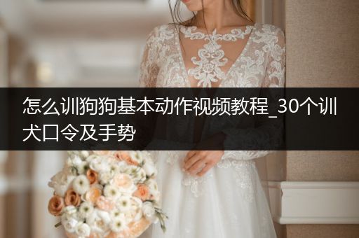怎么訓狗狗基本動作視頻教程_30個訓犬口令及手勢