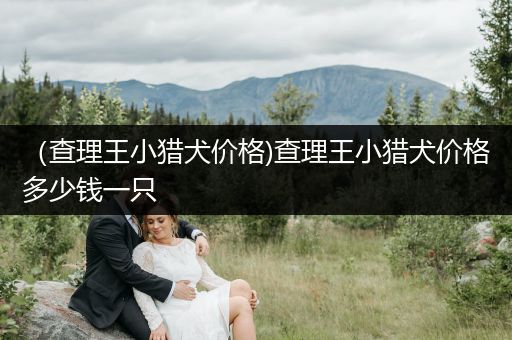 （查理王小獵犬價格)查理王小獵犬價格多少錢一只