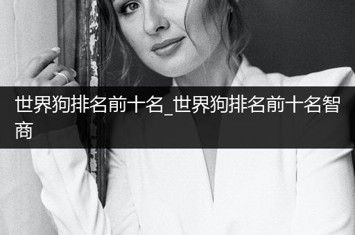 世界狗排名前十名_世界狗排名前十名智商