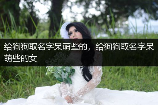 給狗狗取名字呆萌些的，給狗狗取名字呆萌些的女