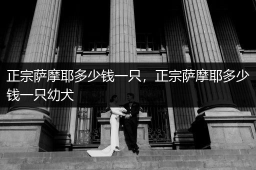 正宗薩摩耶多少錢一只，正宗薩摩耶多少錢一只幼犬