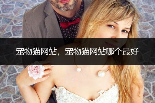 寵物貓網(wǎng)站，寵物貓網(wǎng)站哪個最好