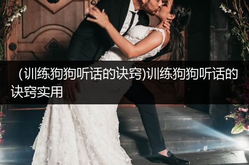 （訓練狗狗聽話的訣竅)訓練狗狗聽話的訣竅實用