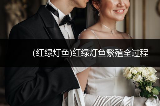 （紅綠燈魚)紅綠燈魚繁殖全過程