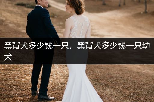 黑背犬多少錢一只，黑背犬多少錢一只幼犬