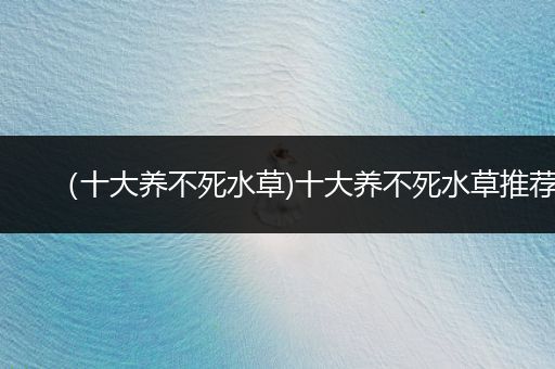 （十大養(yǎng)不死水草)十大養(yǎng)不死水草推薦