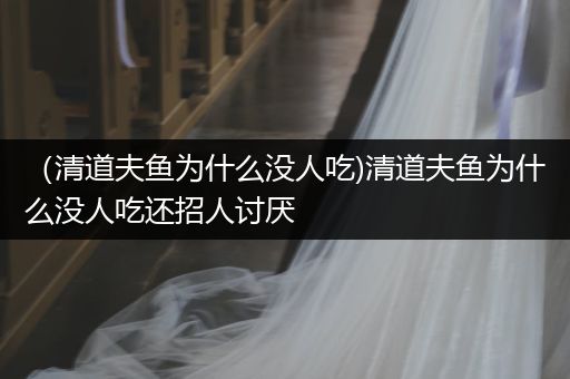 （清道夫魚為什么沒人吃)清道夫魚為什么沒人吃還招人討厭