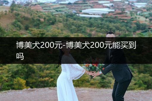 博美犬200元-博美犬200元能買到嗎