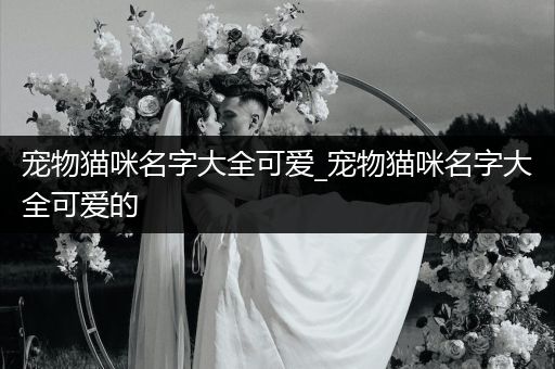 寵物貓咪名字大全可愛_寵物貓咪名字大全可愛的