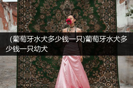 （葡萄牙水犬多少錢一只)葡萄牙水犬多少錢一只幼犬
