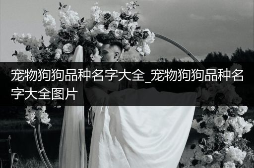 寵物狗狗品種名字大全_寵物狗狗品種名字大全圖片