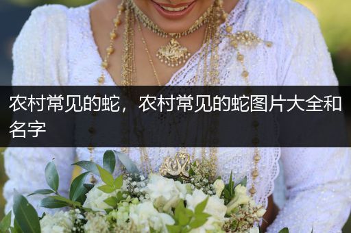 農(nóng)村常見的蛇，農(nóng)村常見的蛇圖片大全和名字