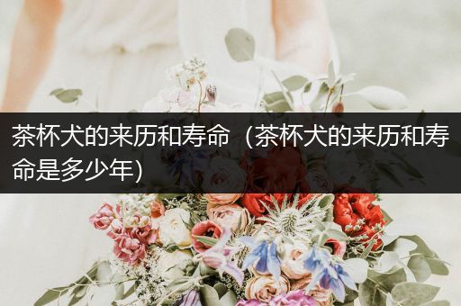 茶杯犬的來歷和壽命（茶杯犬的來歷和壽命是多少年）