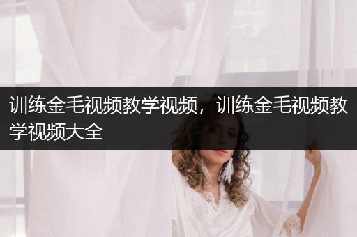 訓練金毛視頻教學視頻，訓練金毛視頻教學視頻大全