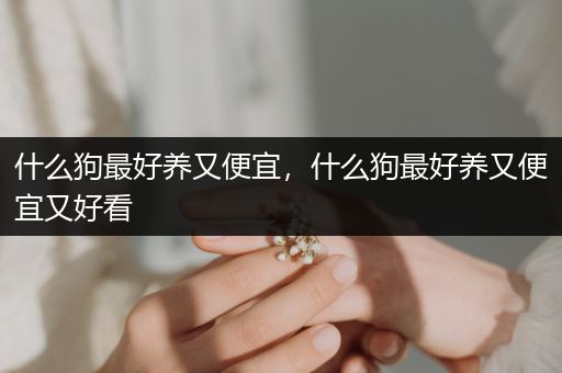什么狗最好養(yǎng)又便宜，什么狗最好養(yǎng)又便宜又好看