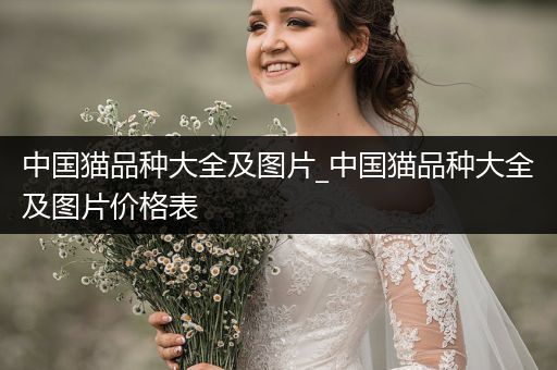 中國(guó)貓品種大全及圖片_中國(guó)貓品種大全及圖片價(jià)格表