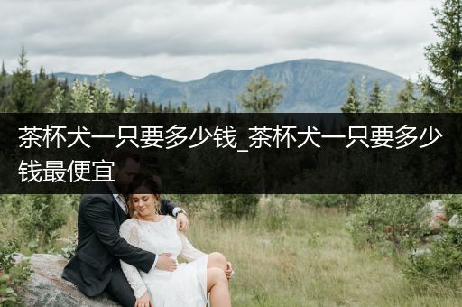 茶杯犬一只要多少錢_茶杯犬一只要多少錢最便宜