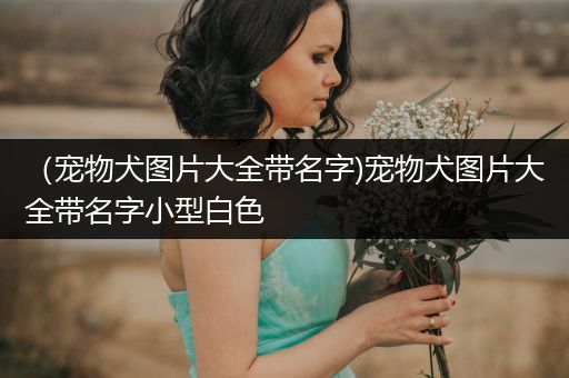 (寵物犬圖片大全帶名字)寵物犬圖片大全帶名字小型白色