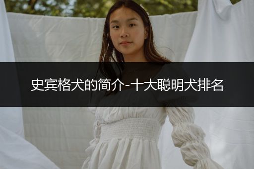 史賓格犬的簡(jiǎn)介-十大聰明犬排名